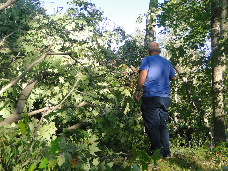 /pictures/Trail Clean Up 2018/DSC06584.jpg